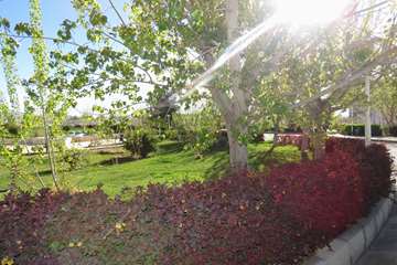 Hospital nature 