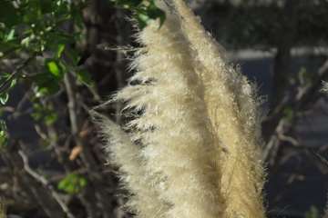 Hospital nature 