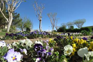 Hospital nature 