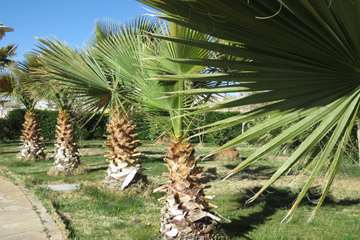 Hospital nature 